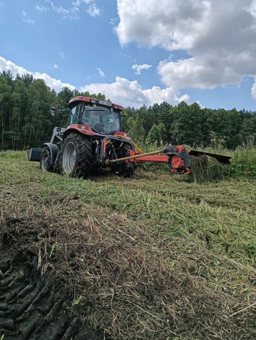 Usługi leśne ścinka drzew czyszczenie działek kupno lasu na pniu