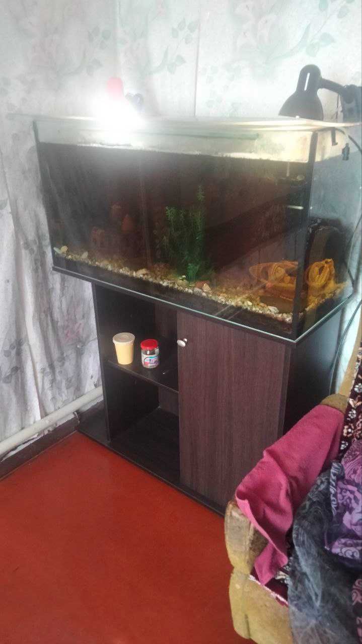 Продам аквариум в сборе