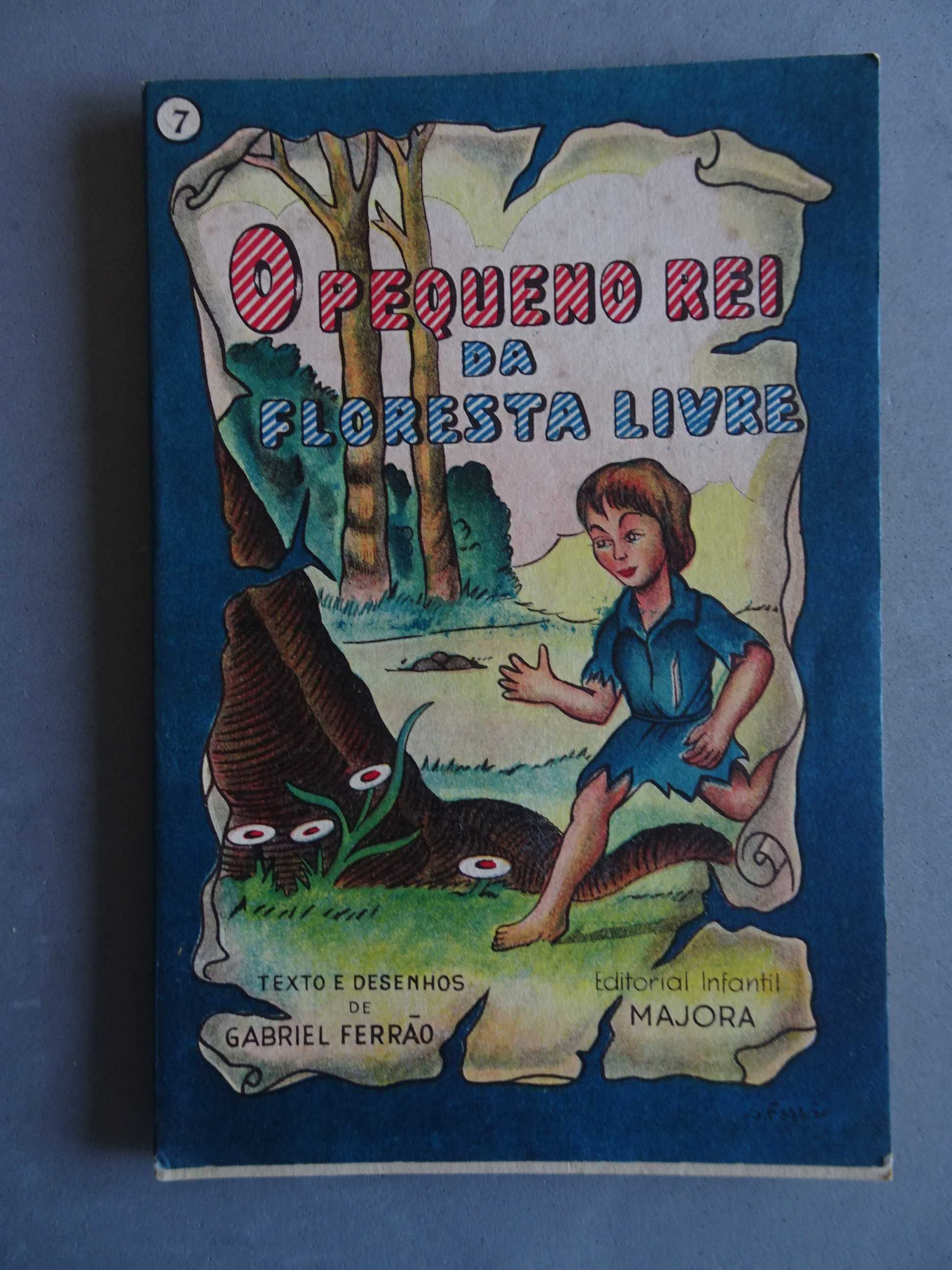 Livro Majora - Colecção Salta Pocinhas nº 7