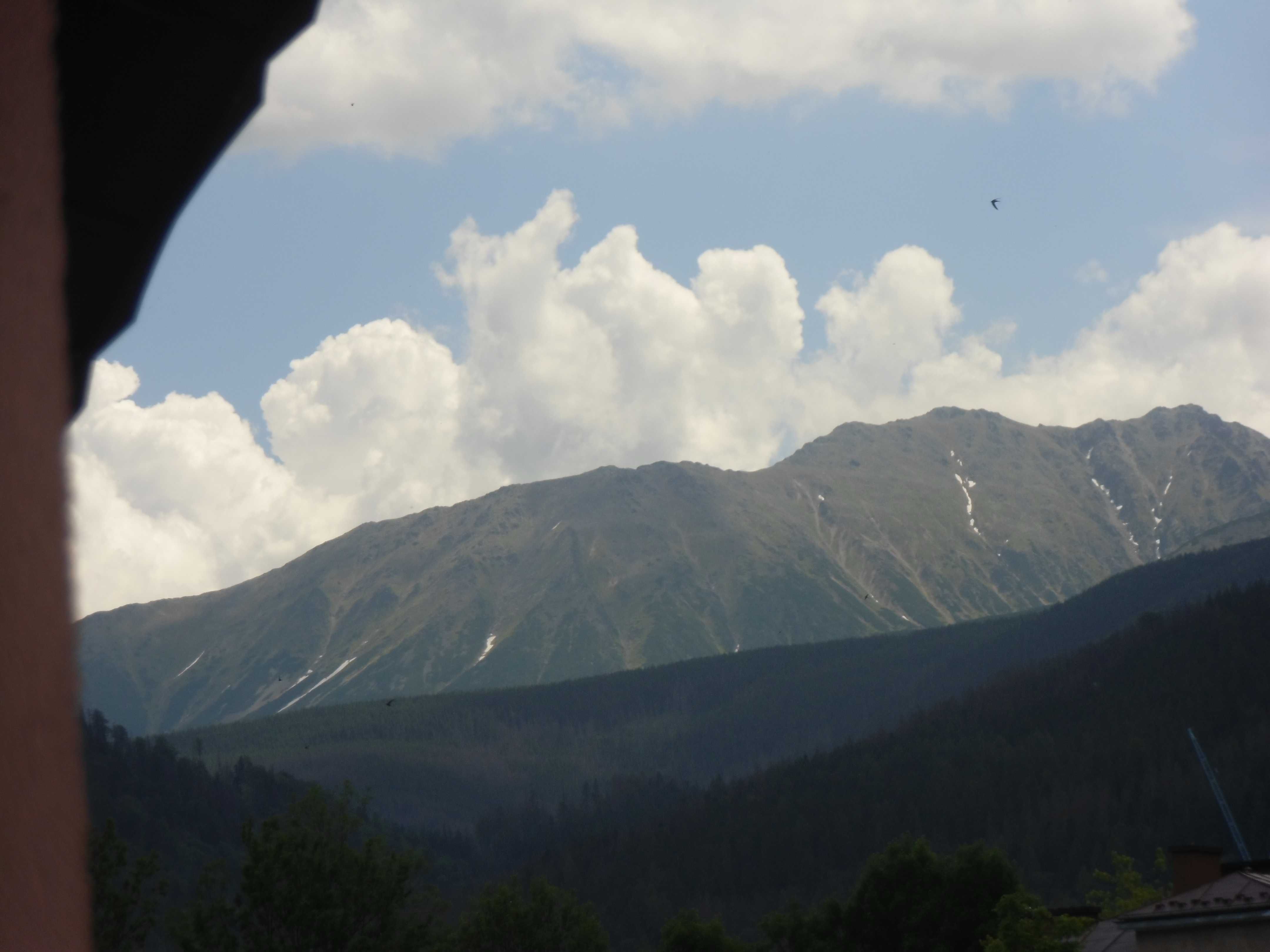 Ścisłe centrum -ZAKOPANE- wolne  od   08-10.09.
