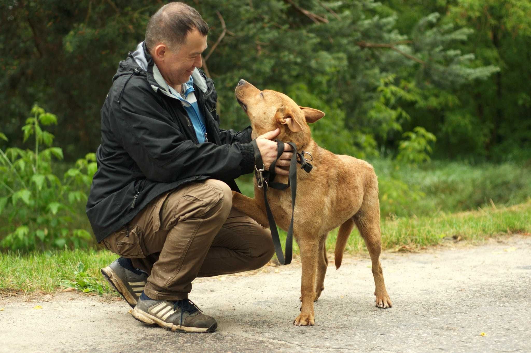 30 kilo łagodności - Sonido: anioł o łagodnym usposobieniu