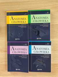 Anatomia człowieka I, II, III, IV