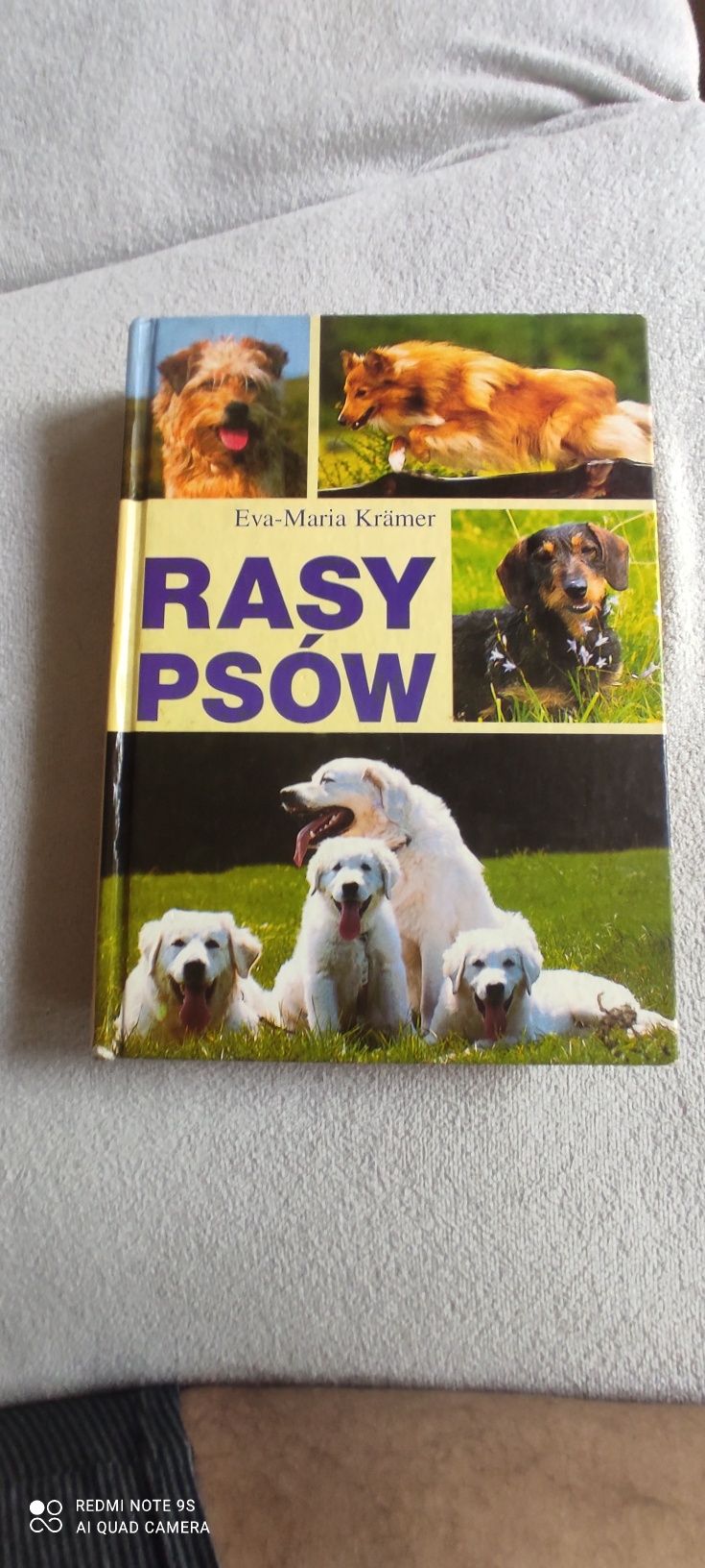 Rasy psów -  Krämer