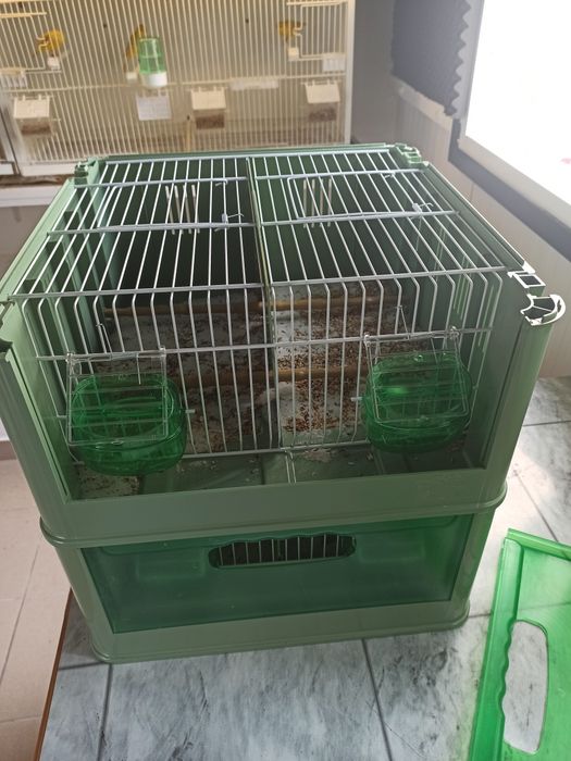 Transportadora de aves