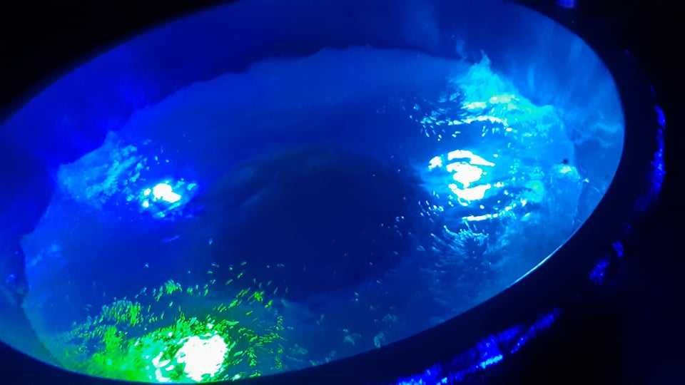 Wynajmę Jacuzzi Balia Bania Mobilna Spa