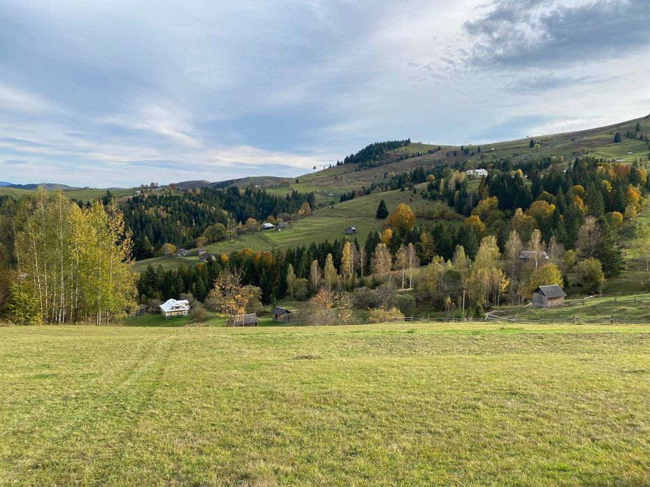 Будинок в Карпатах.