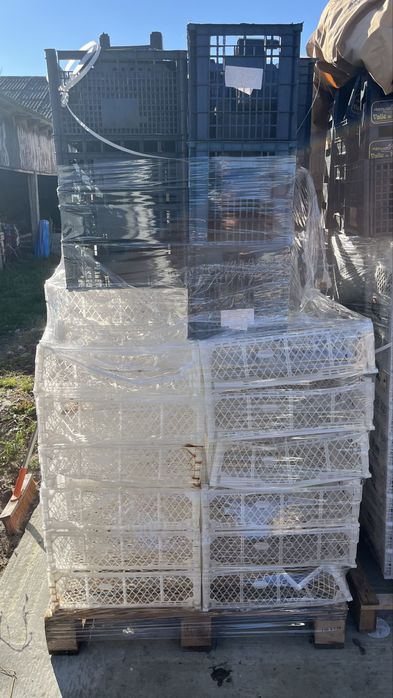 Oddam skrzynki plastikowe