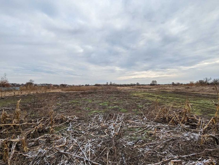 Продамо ділянку в Червоній Слободі 19 соток по вул. Павлова
