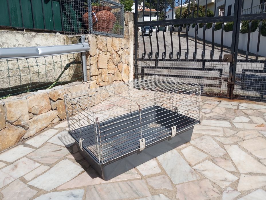 Gaiola para Porquinho da Índia/coelho