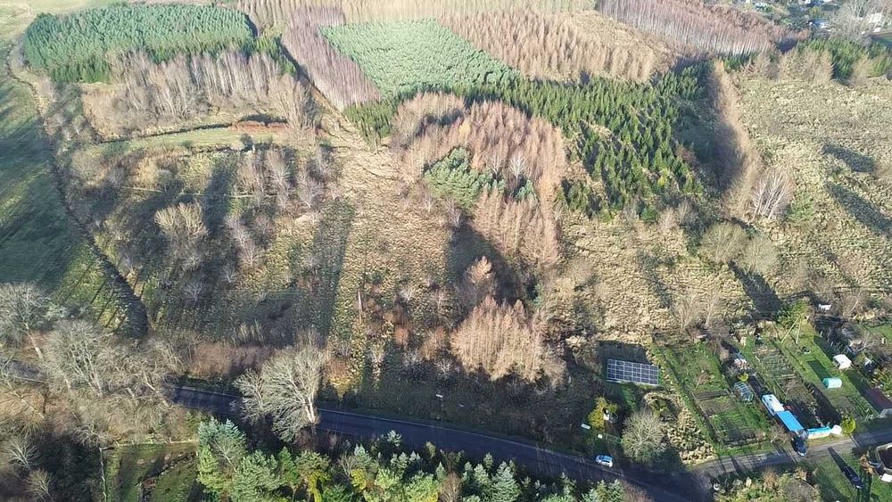 Działki w Warcinie*rolno-budowlane*5000 m2 i więcej