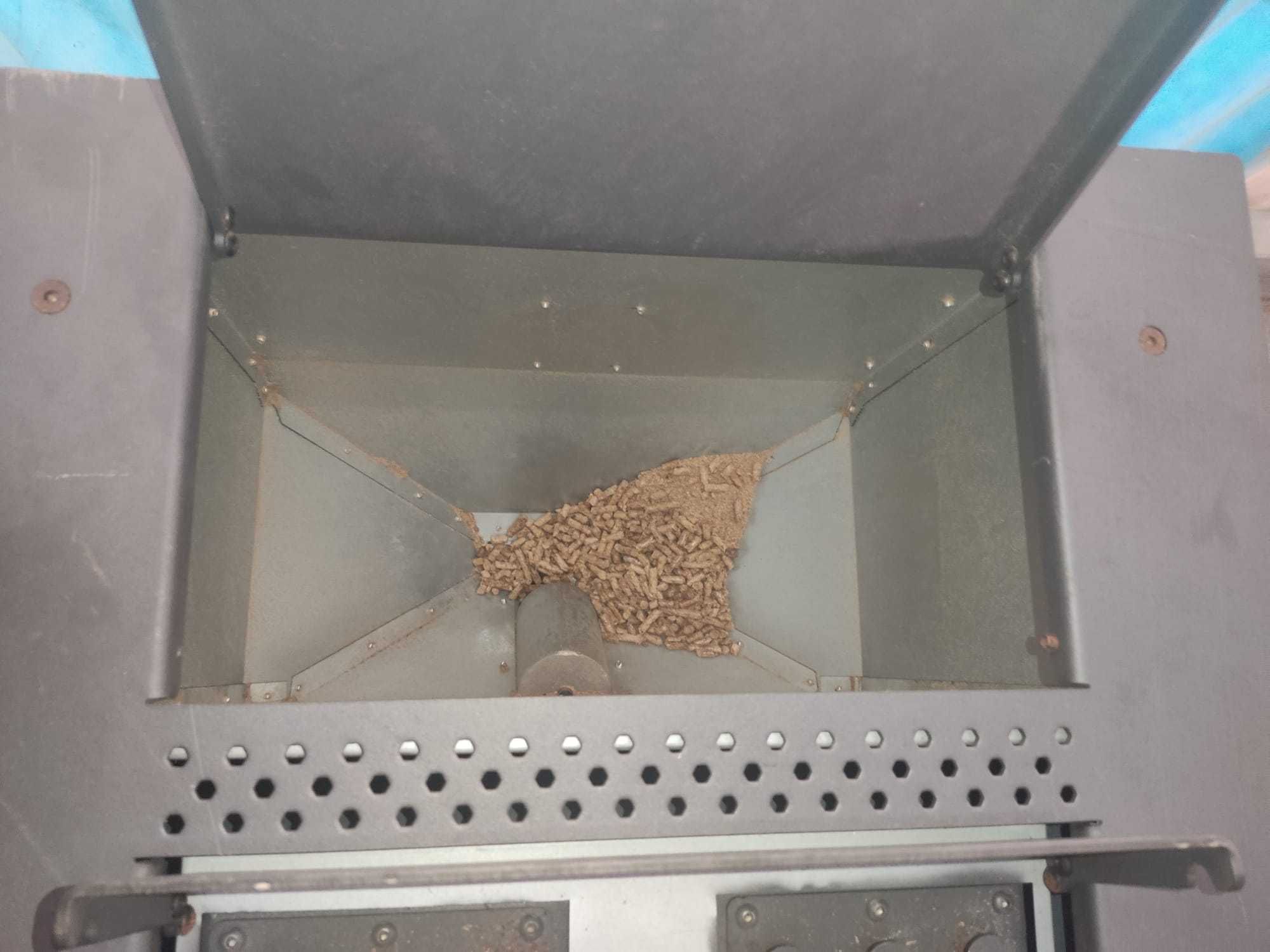 Salamandra a Pellets
