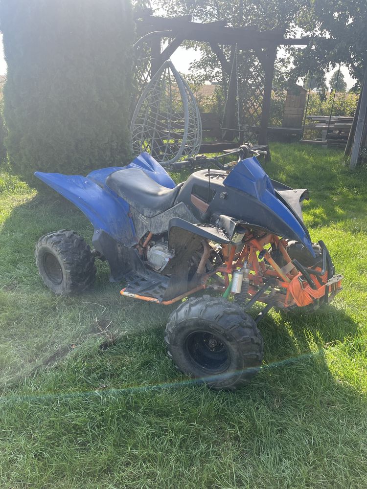 Quad bashan 300/500