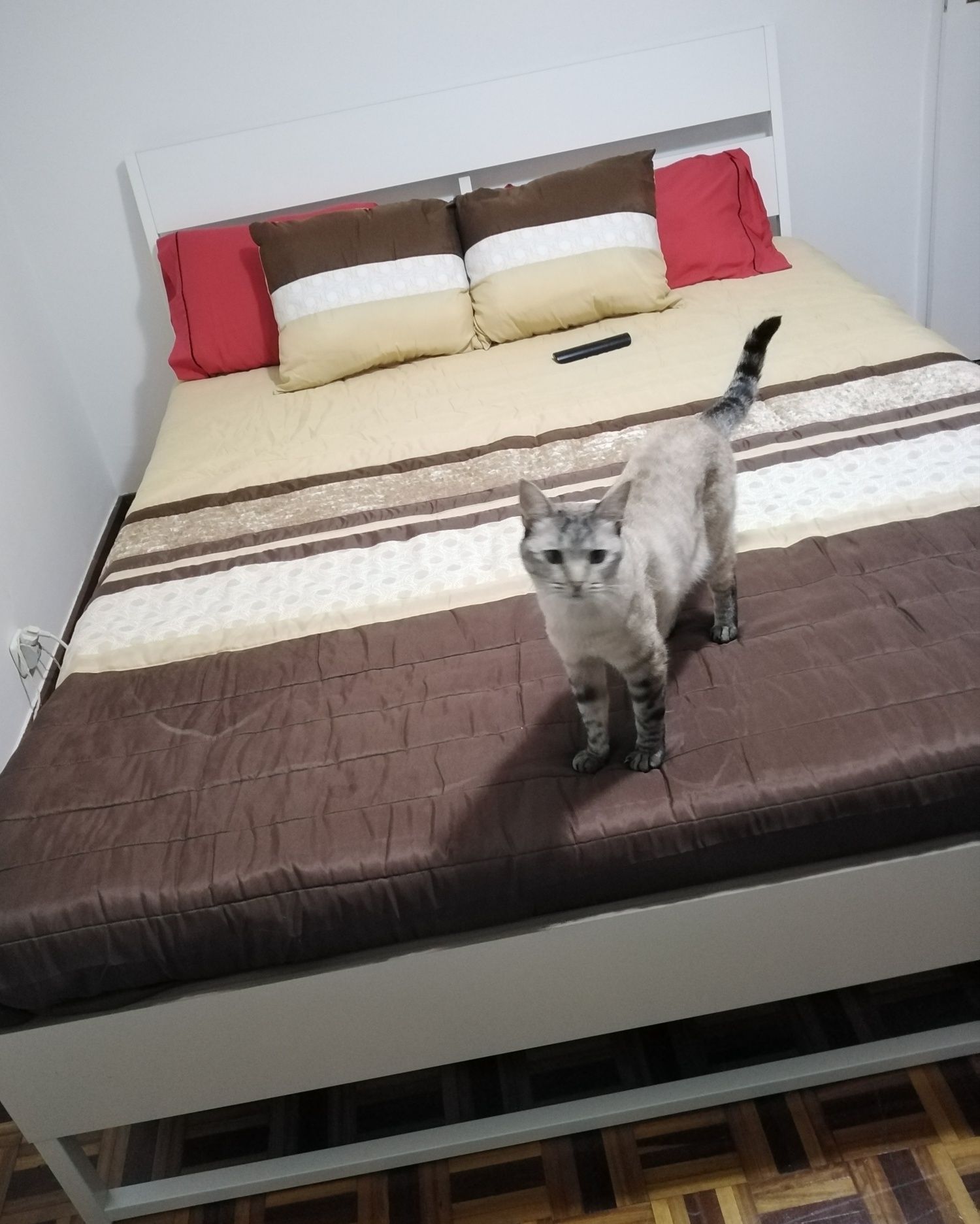 Vendo estrutura de Cama como Nova