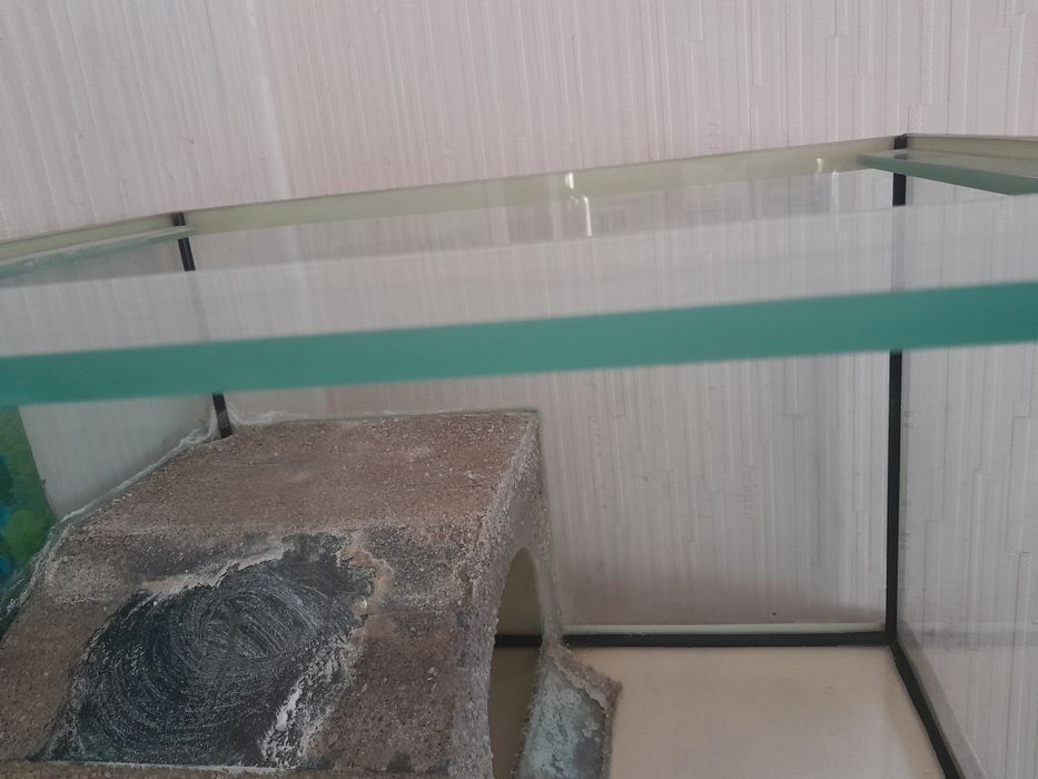 Большой аквариум-терариум.