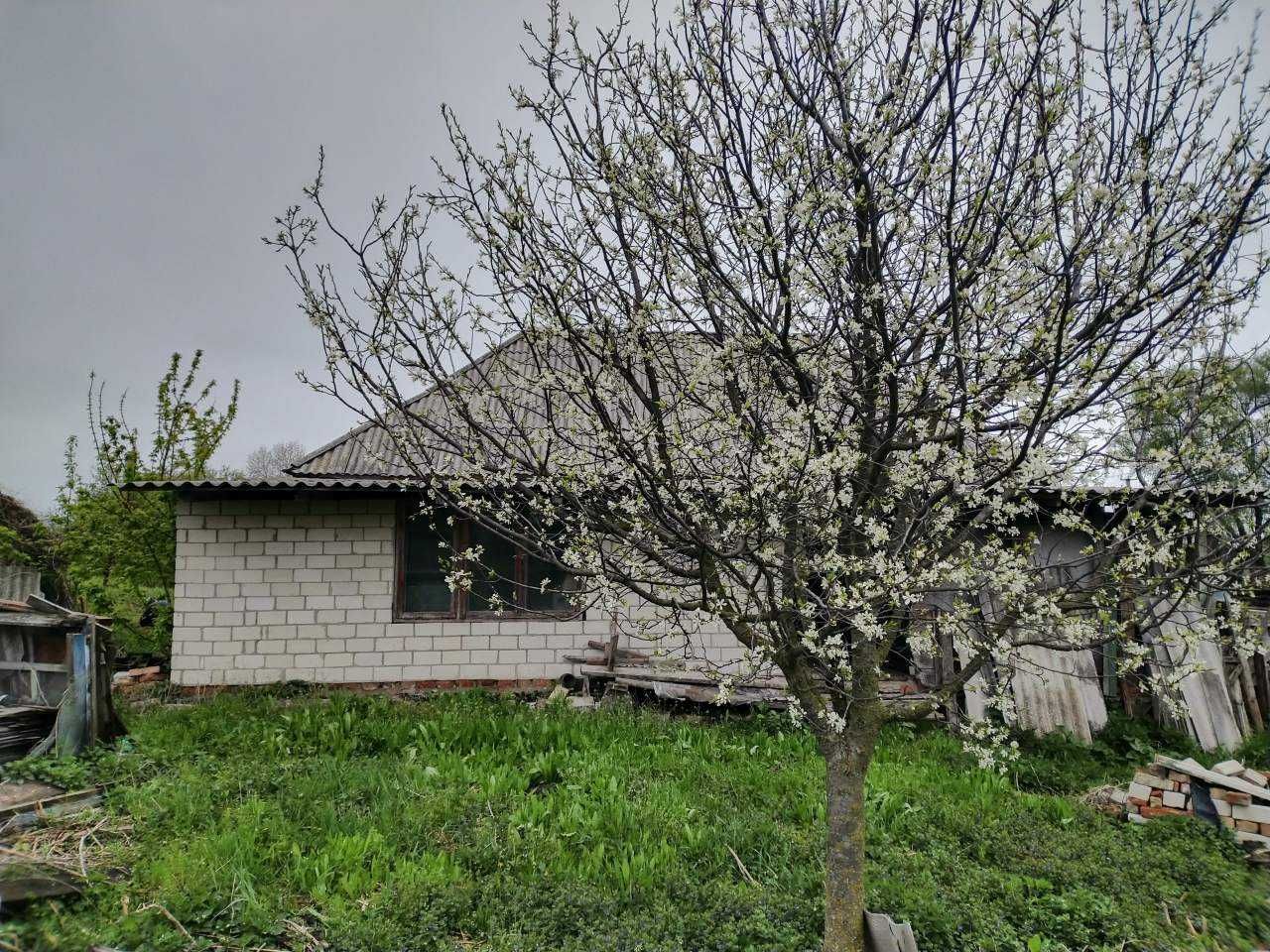 Продам будинок в Бориспільському районі село Лецьки