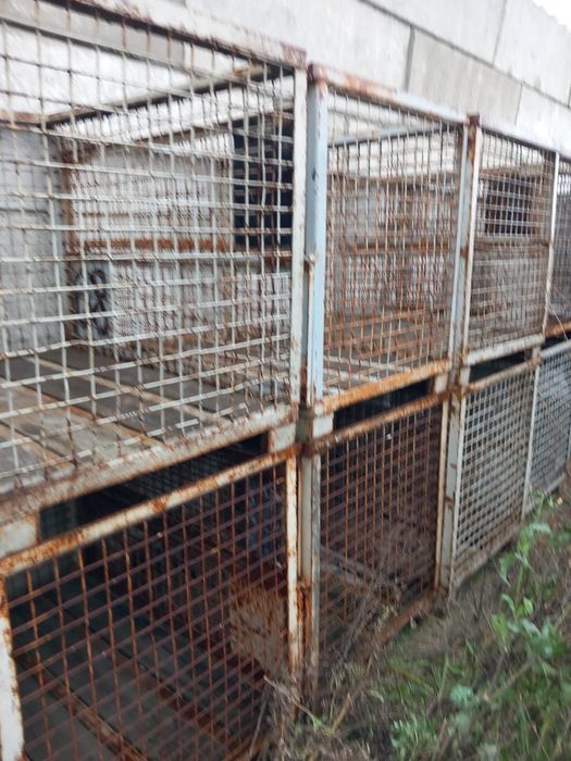 Pojemnik metalowe siatkowane