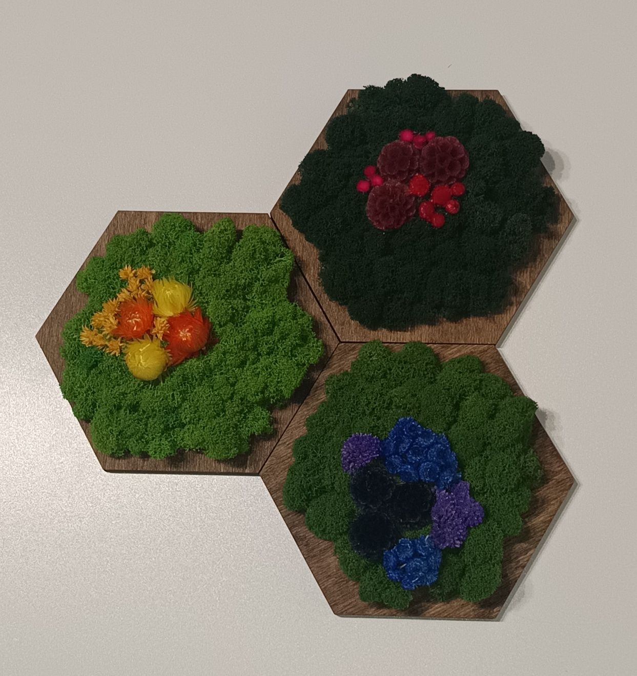 Panel hexagon mech CHROBOTEK i rośliny stabilizowane