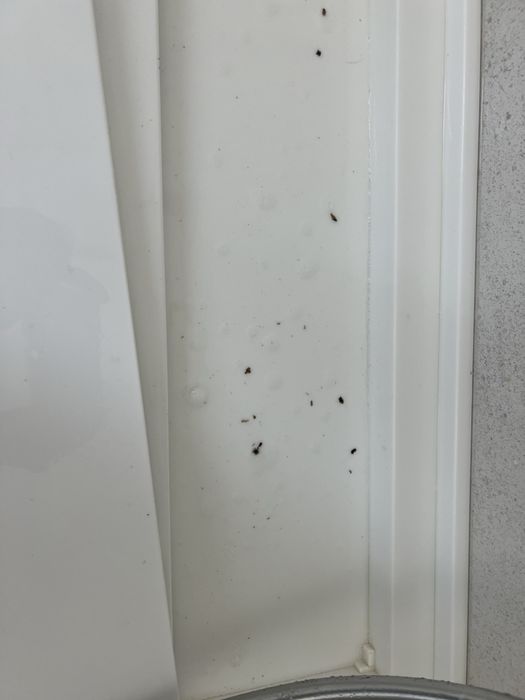 Faco trabalhos domesticos