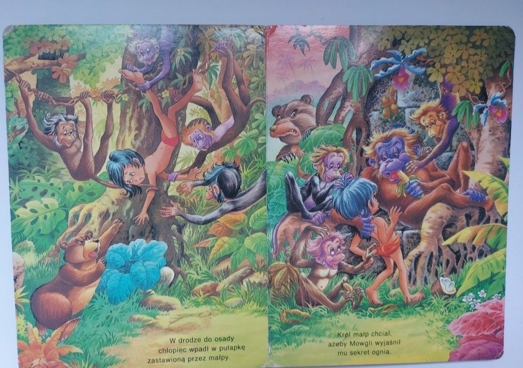 Księga dżungli - Książka dla dzieci