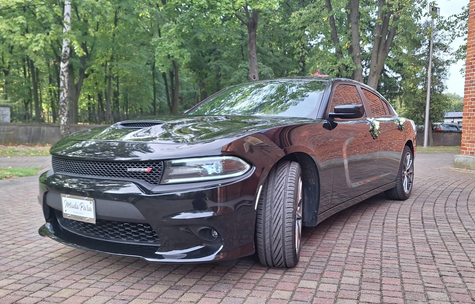 Auto do Ślubu - Dodge Charger