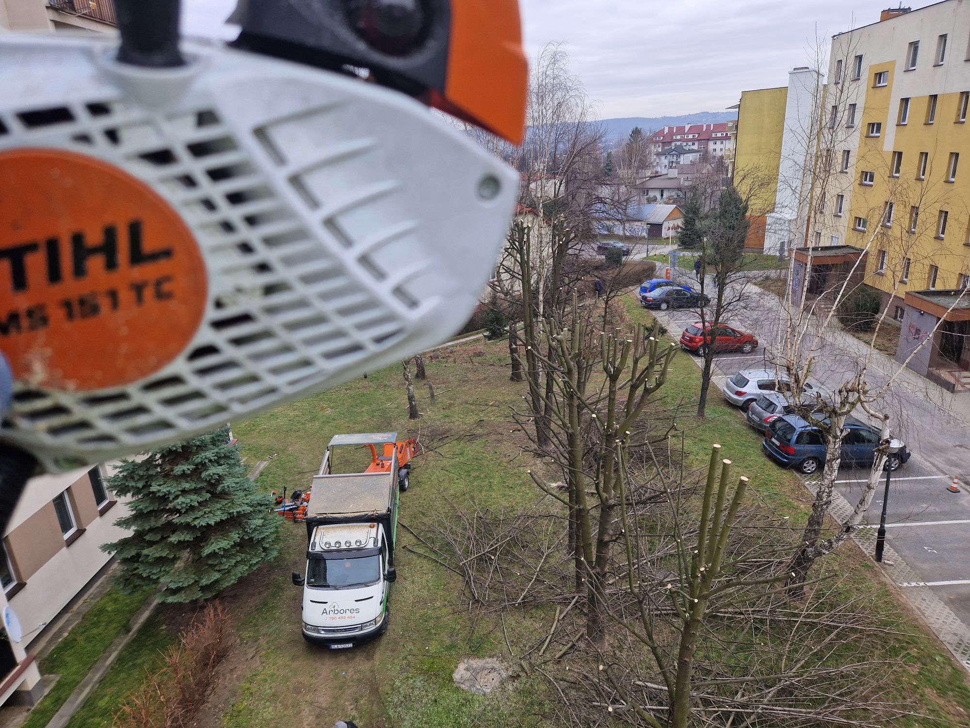 Frezowanie pni, wycinka drzew, karczowanie, mulczowanie, usuwanie pni