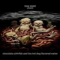 Limp bizkit "chocolate starfish and the hot dog flavored water#