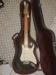 Guitarra Washburn Mercury mg230