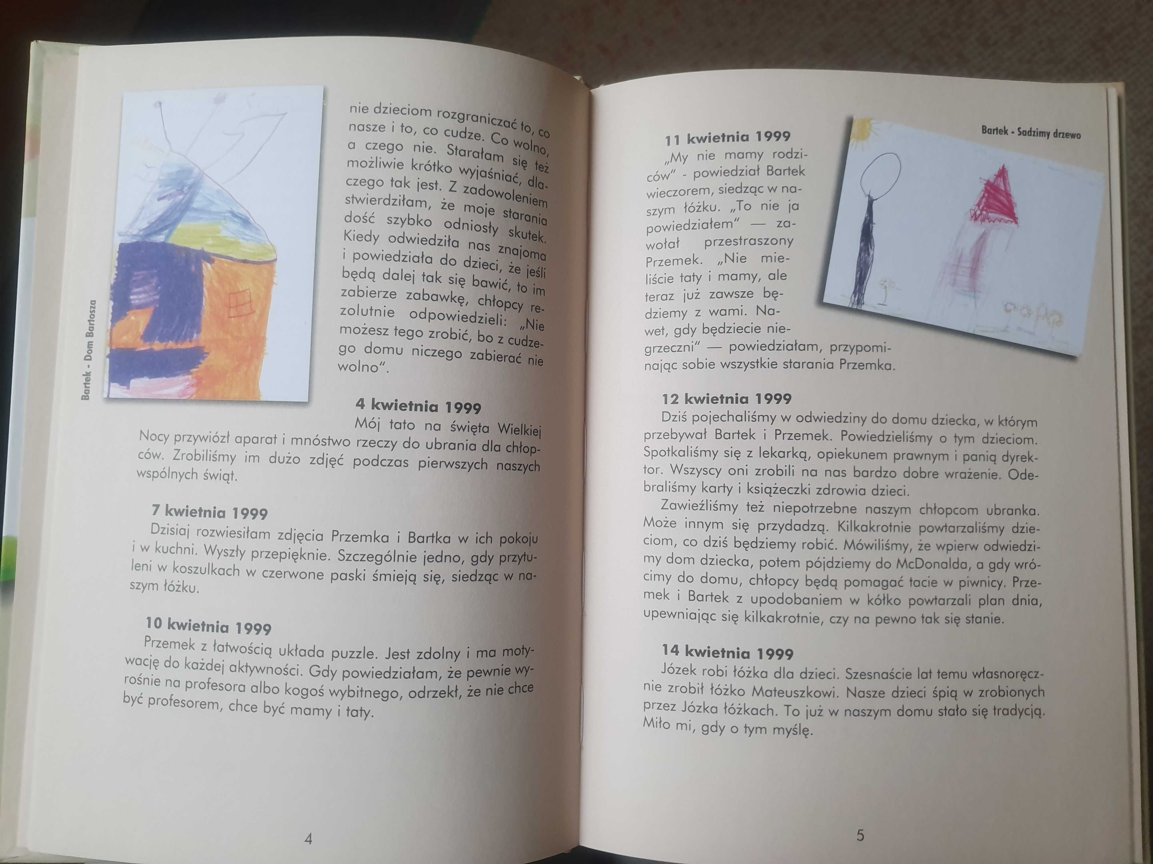 Książka Dom malowany Magdalena Grycman Stan idealny