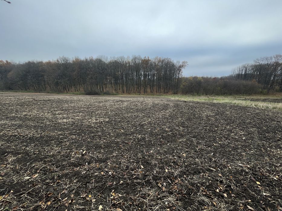 ПРОДАЖ приватного будинку с. Чорний ліс