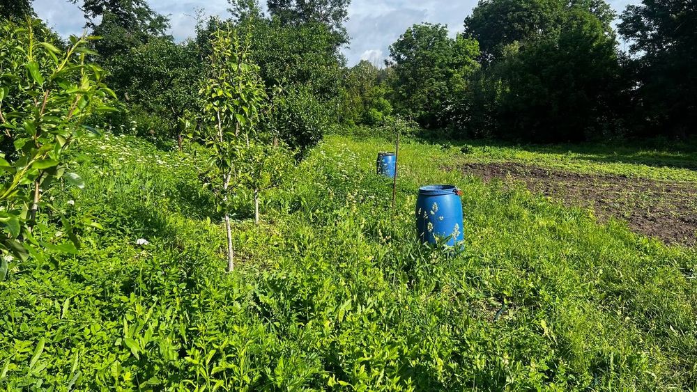 Продам цегляний будинок+30 соток землі, Волиця