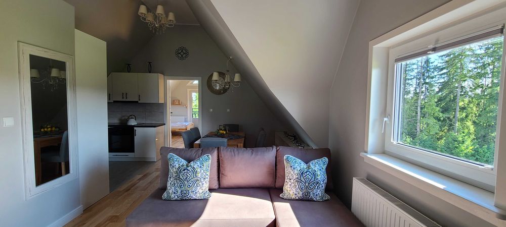 Domek do wynajęcia " Dreamplace"