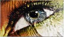 EDWARD HARLOVIC  - Fotografia sobre tela com 58x102 cm