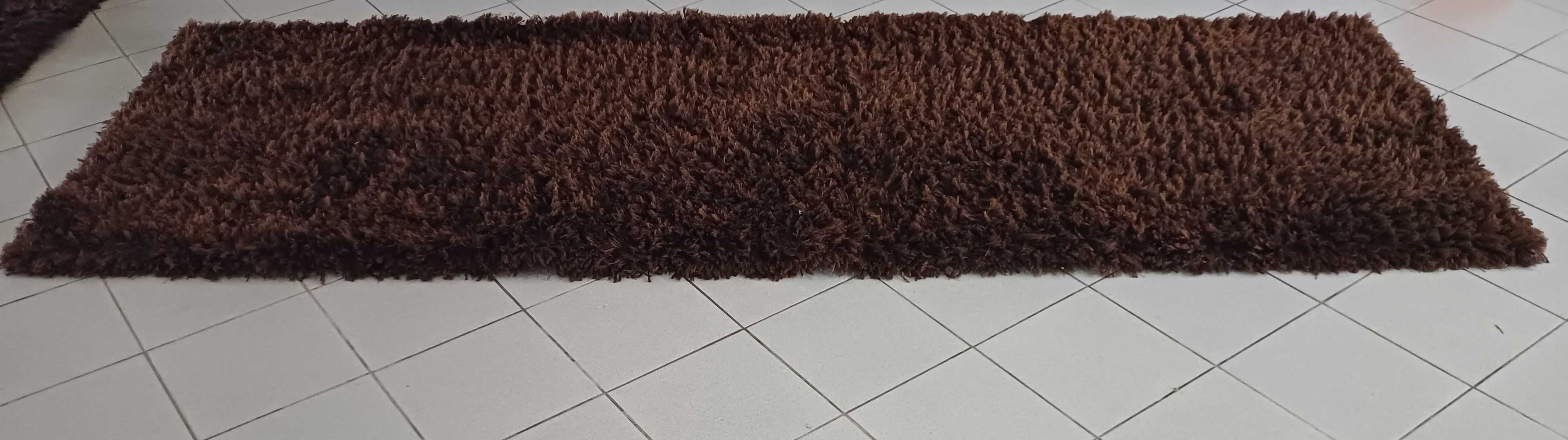 Carpetes Castanha de pelo