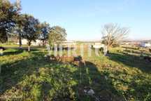 Lote Terreno