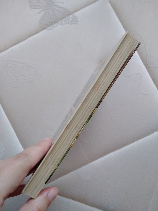 Livro guia Madeira e Porto Santo Duas Ilhas em contraste