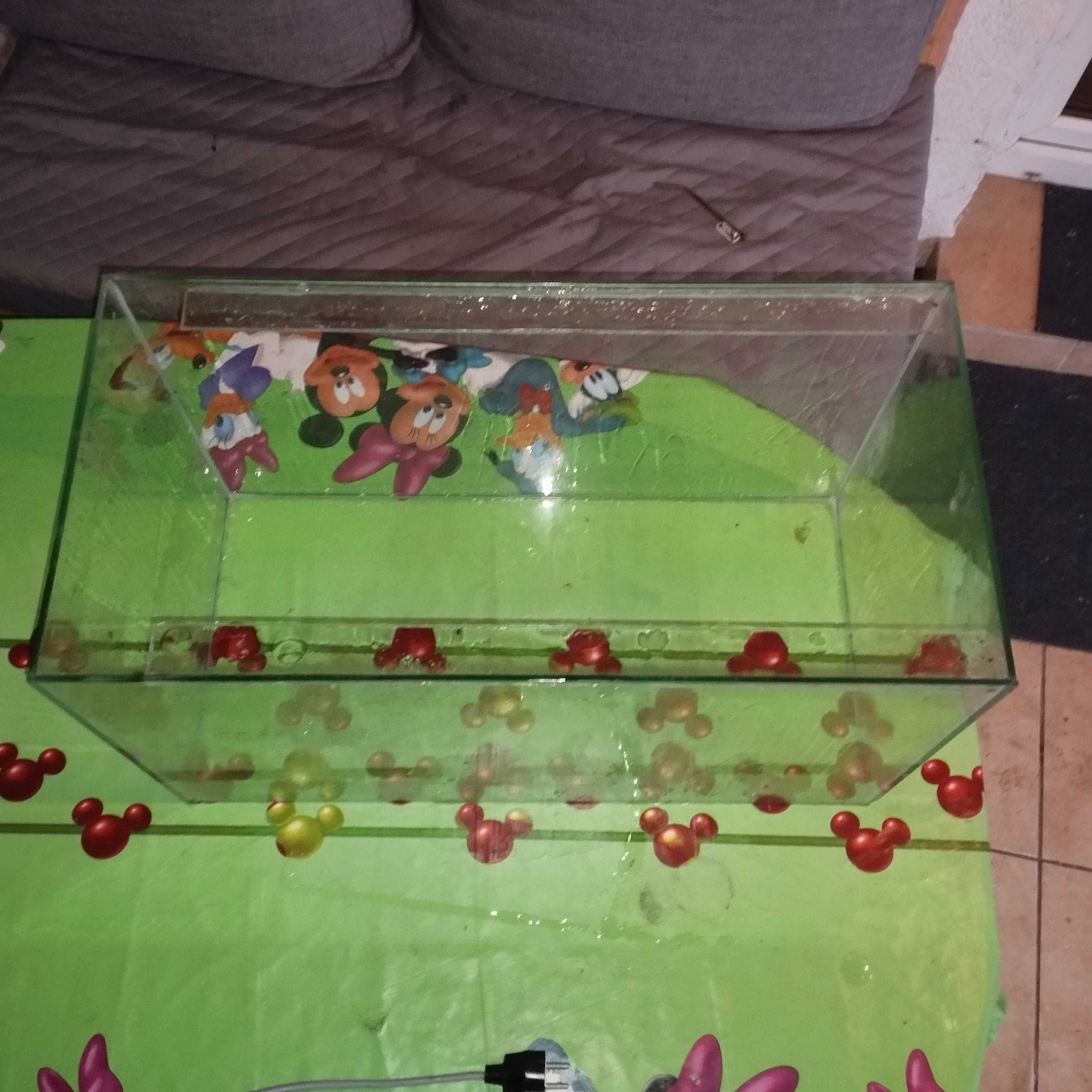 Akwarium 60x35x30 + lampa dużo modeli w ofercie