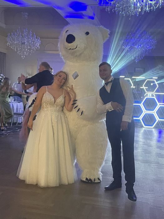 Biały Miś / Miś na imprezę/wesele