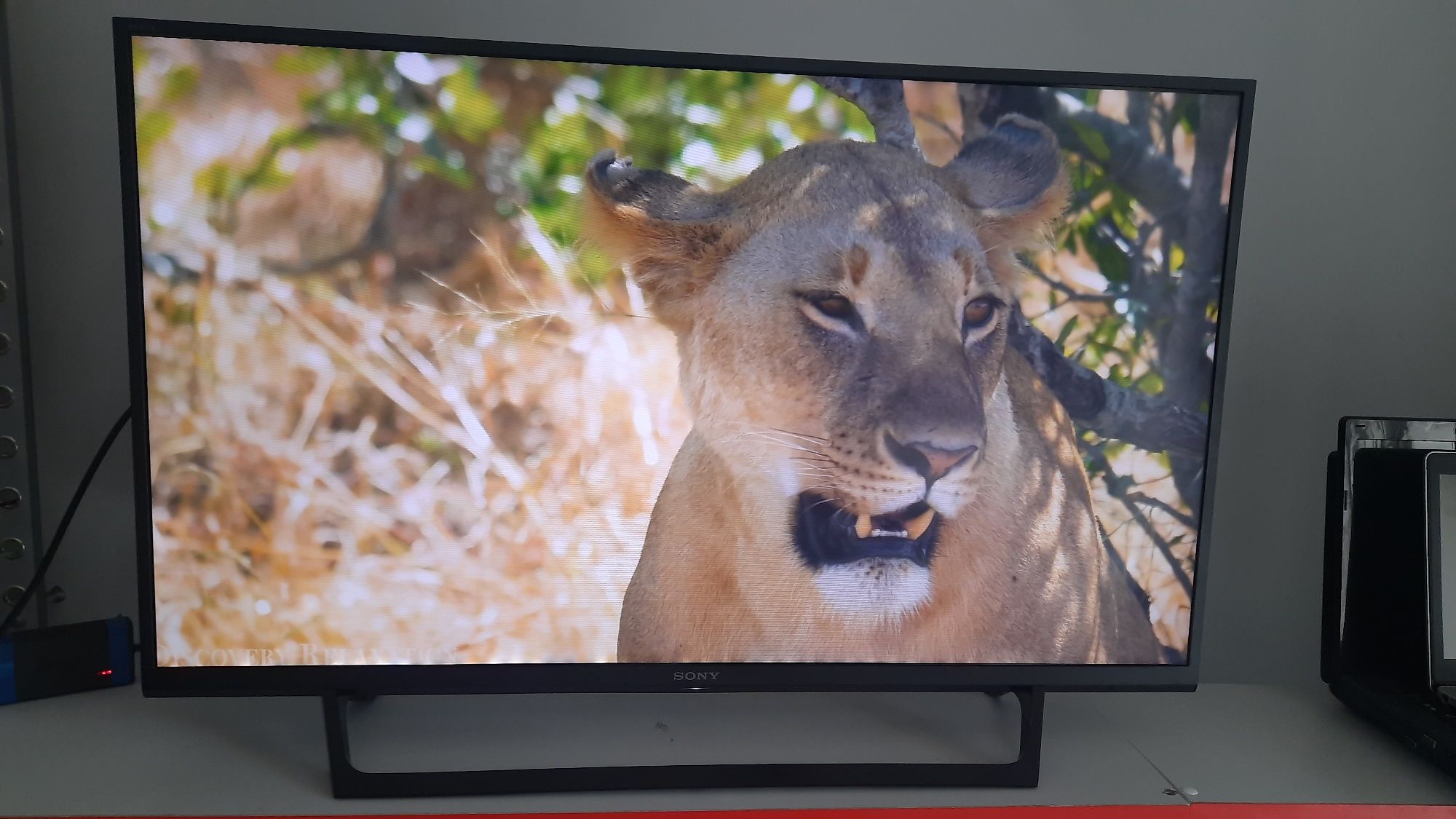 Телевізор Sony 40" KDL-40RE453 без смарту