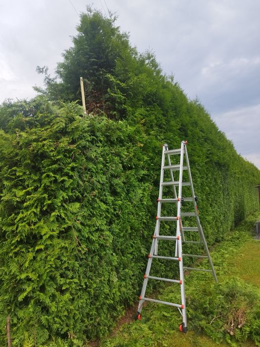 Wycinka drzew , pielęgnacja ogrodów ,koszenie traw