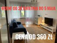 Mieszkanie 2 pokoje, 5 osób apartament nad morzem H. Gdańsk 280 zł
