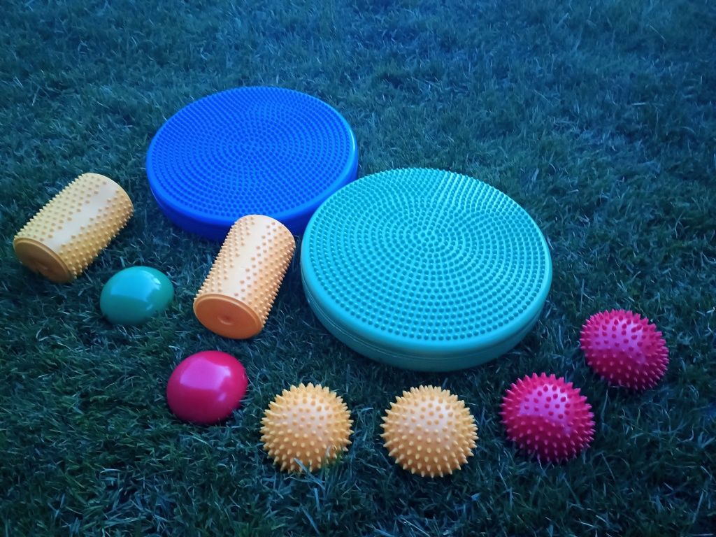 Tor sensorycznyy