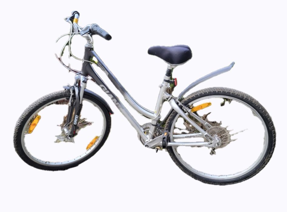 Rower damski Giant Sedona