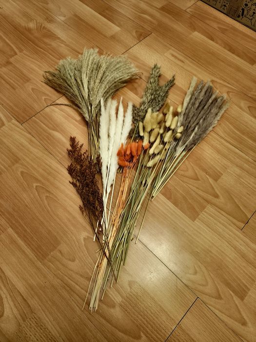 Trawa pampasowa, trawa Boho