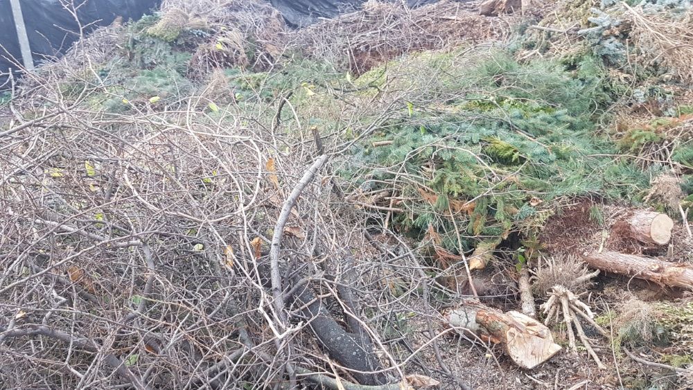 Przyjmę ZIEMIE galezie KRZAKI karpy palety Gruz Radzymin Wolomin