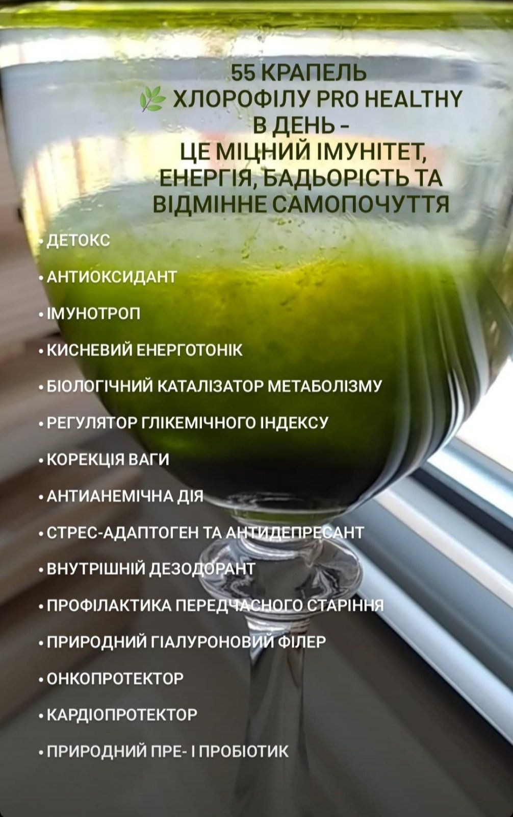 Хлорофіл з кропиви chlorophyll choice  50 мл хлорофилл