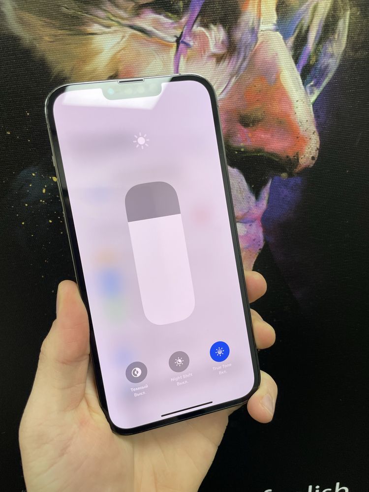 iPhone 13Pro Max 1T памʼяті Never lock