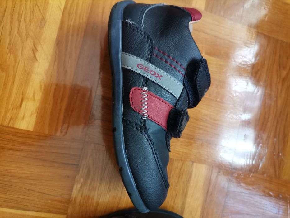 Sapatos Geox menino n 25