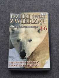 Płyta DVD Dziki świat zwierząt - niedźwiedź polarny