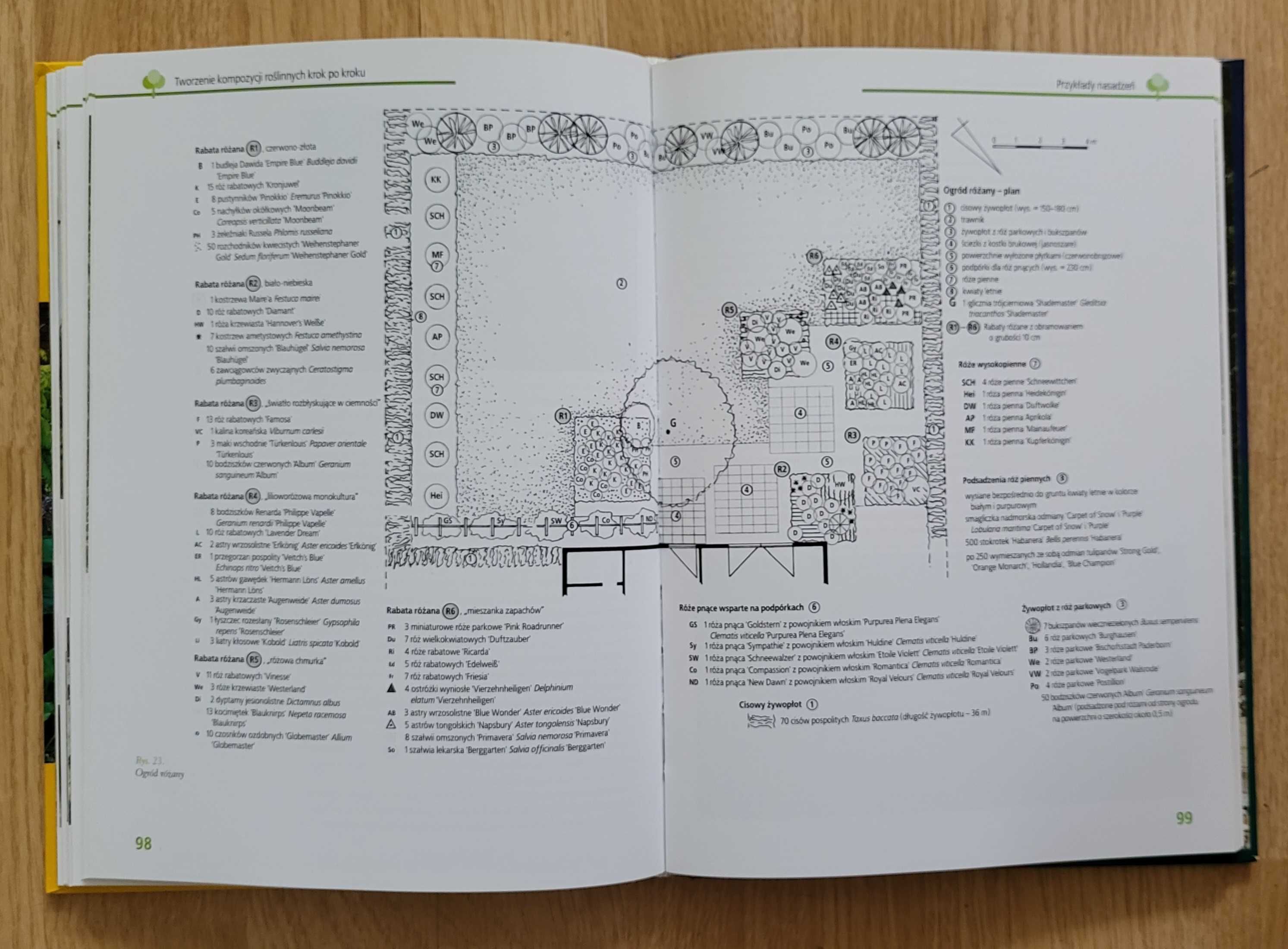 Projektowanie Ogrodu Planowanie realizacja pielęgnacja - Schwarz Kolb