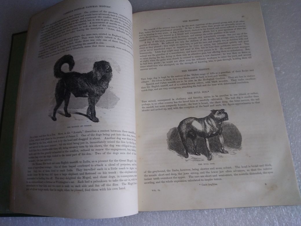 Raro e Antigo Livro cassell's popular natural history vol.2